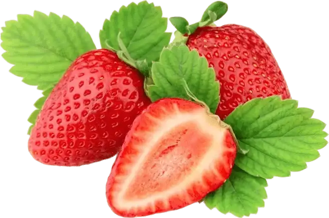 Synaptigen Ingredient Strawberry Extract